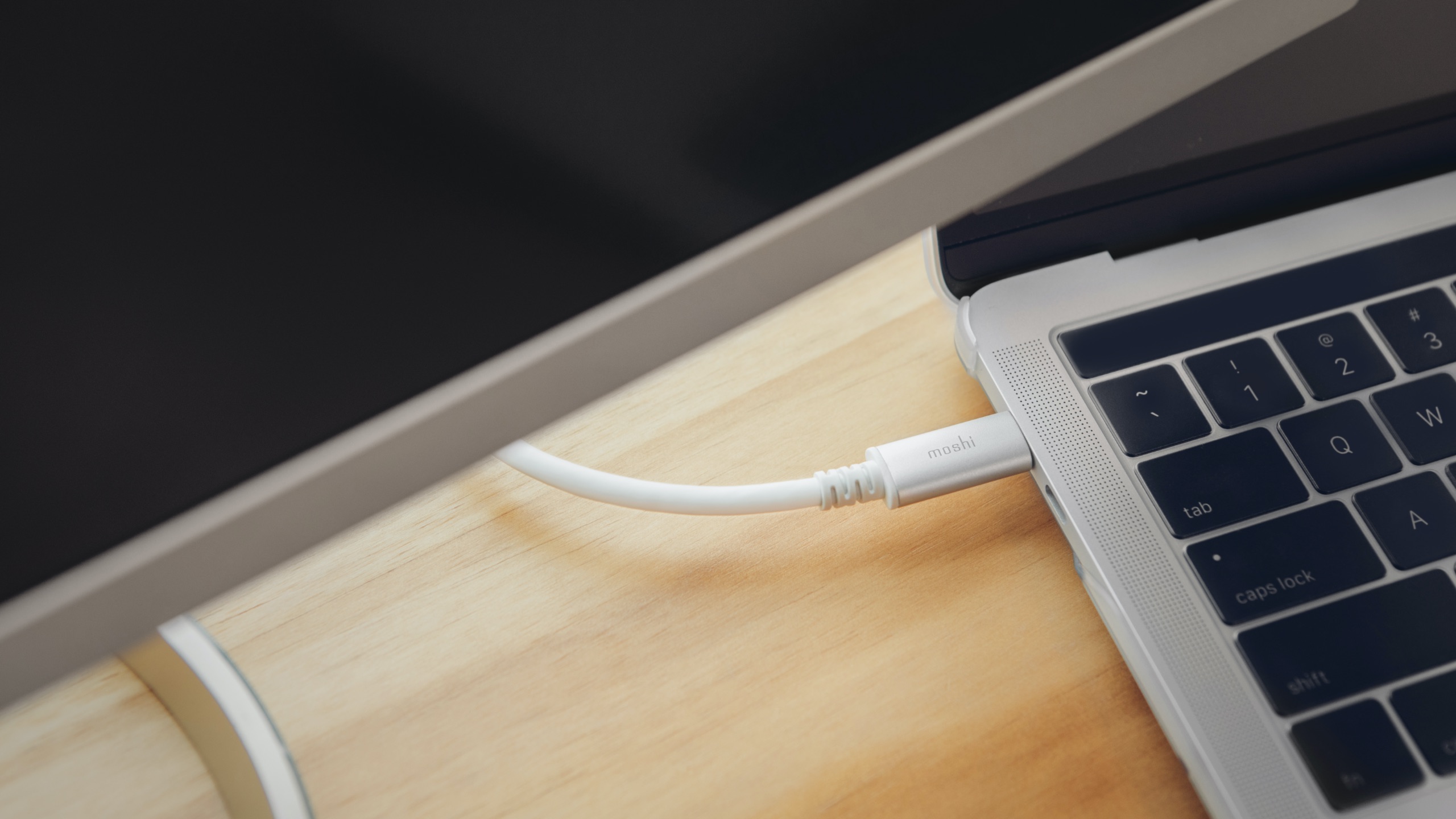 USB-C to DisplayPort Cable 5 ft (1.5 m)-image